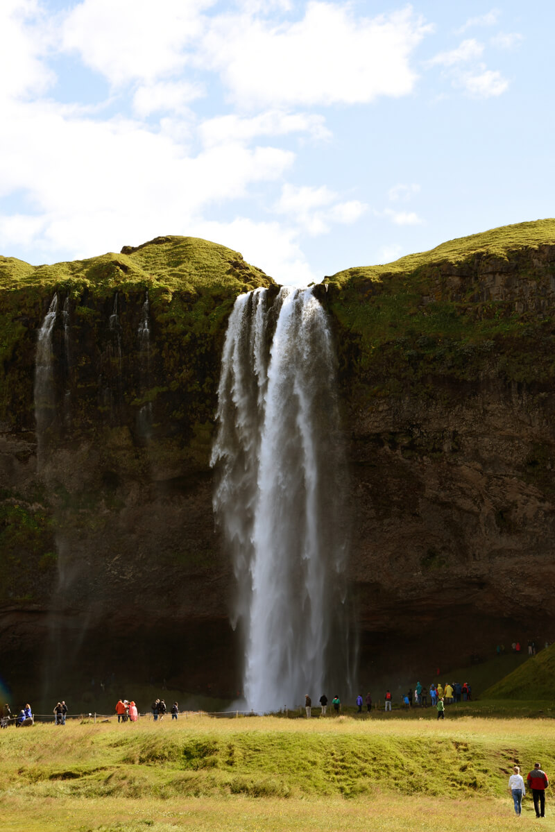 iceland with kids 