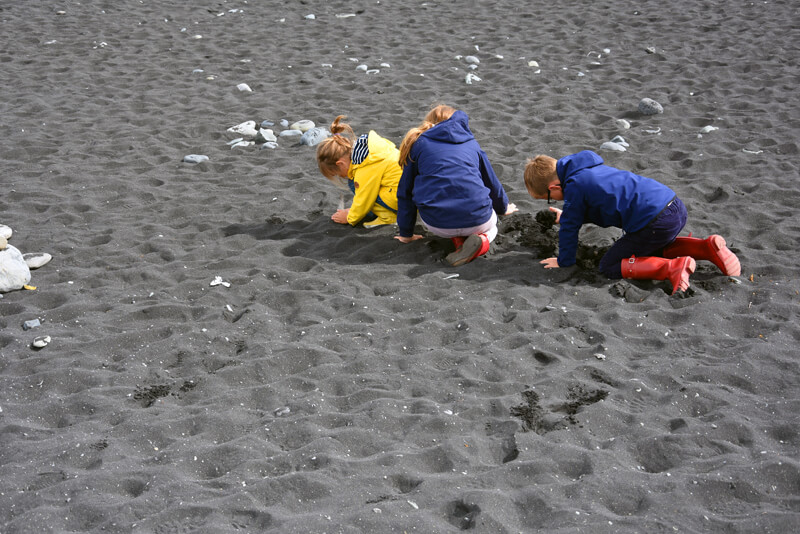 Iceland with kids