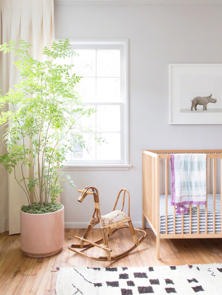Kids rooms with plants