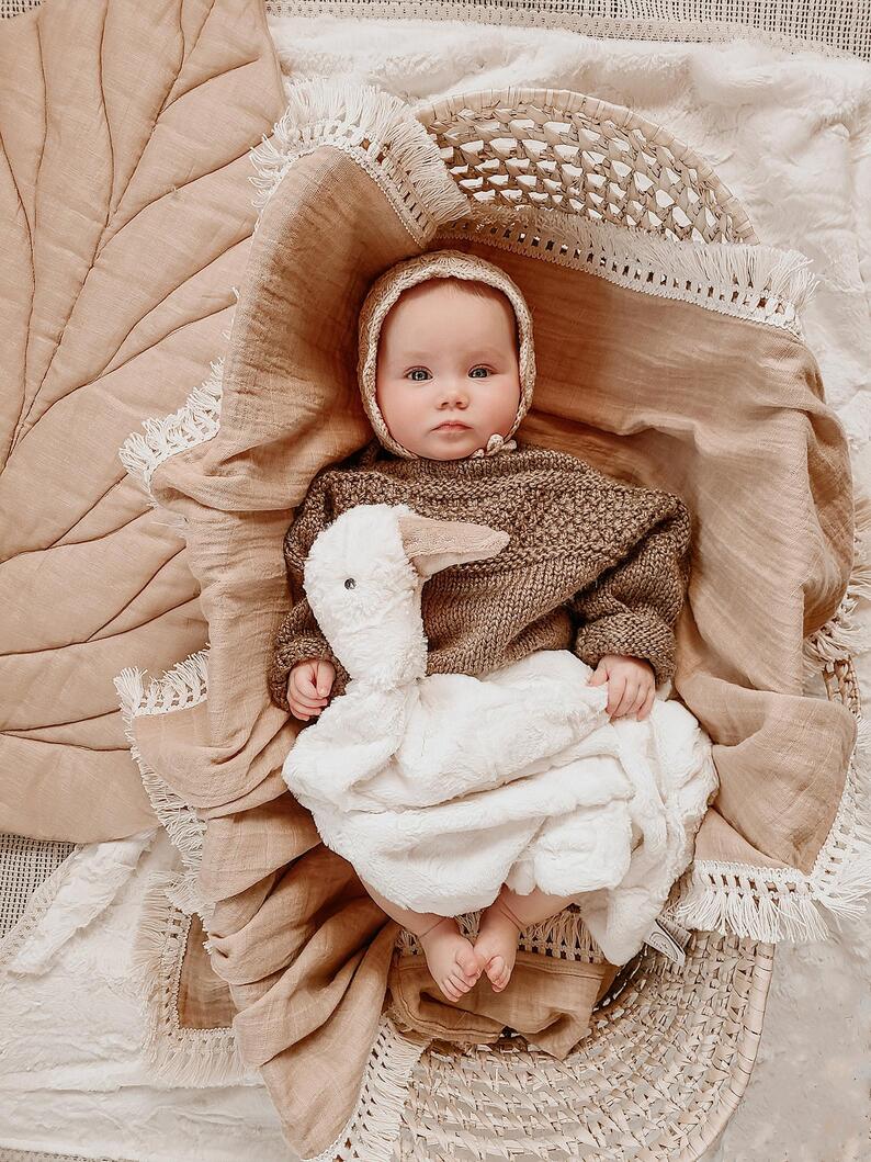 goose baby blanket